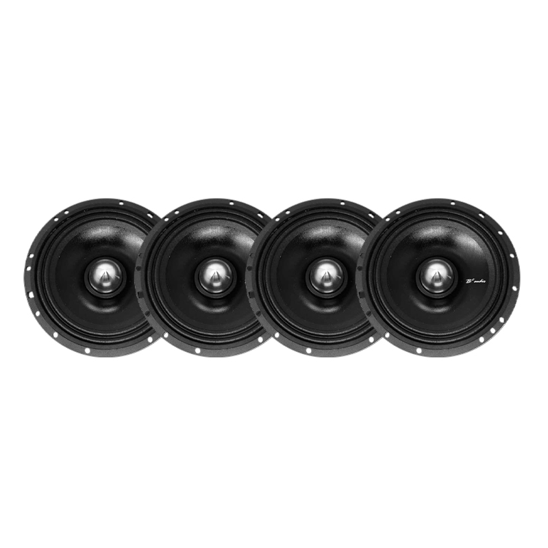 B2 audio 6.5 store subwoofer